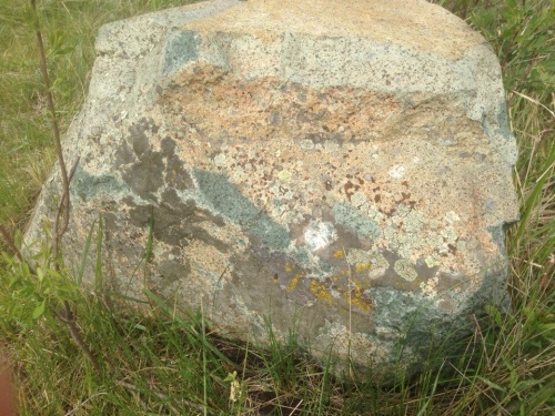 Гигантские зелёные валуны для ландшафтного дизайна весом более 5 тонн купить в Приморском крае